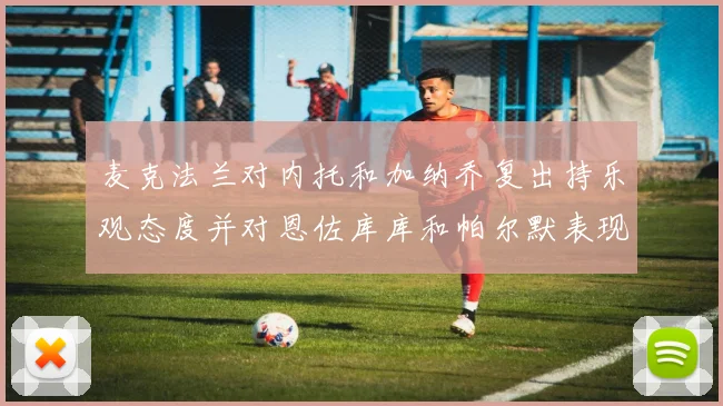 麦克法兰对内托和加纳乔复出持乐观态度并对恩佐库库和帕尔默表现表示满意